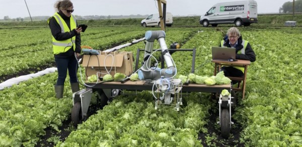 Field tests of 'Vegebot' the automated Lettuce Harvesting Robot developed by the Bio-Inspired Robotics Lab