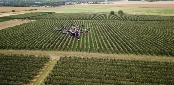 Kent orchards can be surveyed before harvest for accurate yield estimates