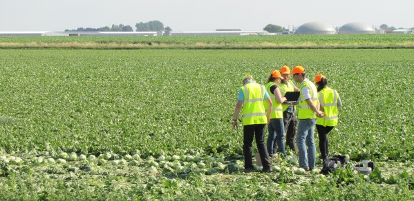Initial field test of vegetable harvesting robots gets underway.