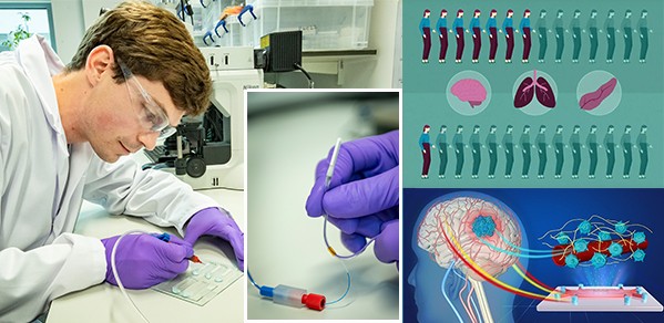 Graduate student Tobias Naegele is seen fabricating an implantable device for chemotherapy delivery. The microfluidic 'in vitro' model is also shown (bottom, right).