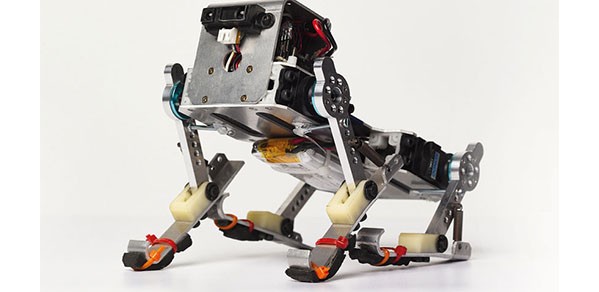 Puppy, a running robot developed by Dr Fumiya Iida’s team.