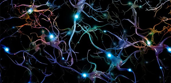 An artist's impression of colourful neurons