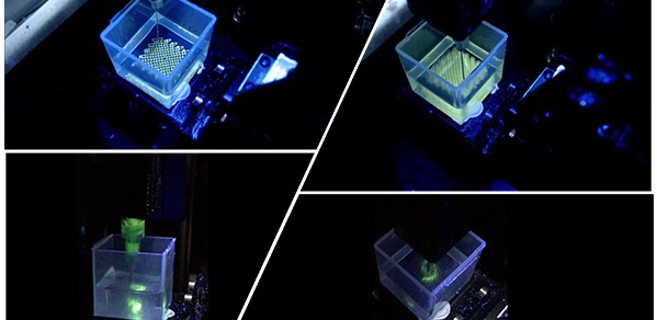 The fabrication process of a biomimetic cochlea: creating an electro-mimetic bone matrix (top images) and a spiral-shaped cochlear structure within the matrix (bottom images). 