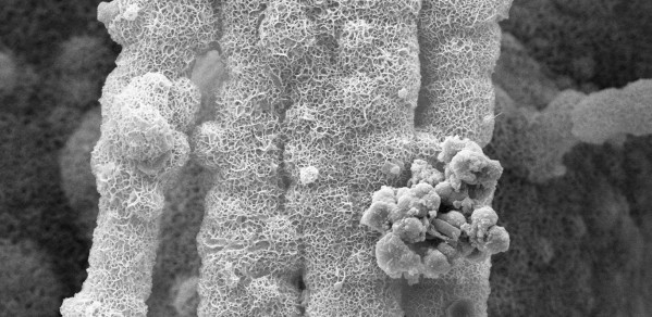 Self-healing concrete
