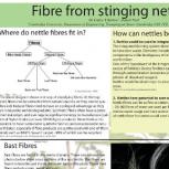 Fibre from Stinging Nettles poster