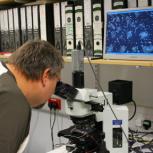 Tim Wilkinson uses an Olympus BR11 microscope to display the switching of a lenslet array in his laboratory.