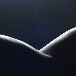 The Seduction of Curves: The Lines of Beauty That Connect Mathematics, Art, and the Nude 