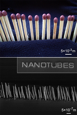 Size scale in context: (a) the diameter of a match is on the mm (10-3 m) scale and can be seen by naked eye, whereas (b) the diameter of a as-grown nanofibre measures only few nanometers (10-9 m), a size so small that it could be only resolved in recent decades by advancing electron microscopy and scanning probe techniques. The functional head of a match also resembles the catalyst particle riding at the tip of the growing nanostructure during CVD.