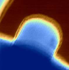 An electron microscope image of a carbon nanotube crystal showing the perfectly aligned array of tubes within the single crystal structure. Each tube has a diameter of only 1.6 nanometers.