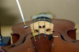 Measuring the response of a violin