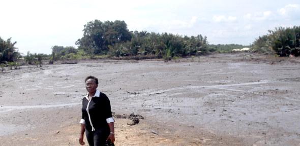 Funmi, at a location in the Niger Delta area, taken last summer when collecting soil samples for laboratory testing