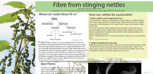 Fibre from Stinging Nettles poster