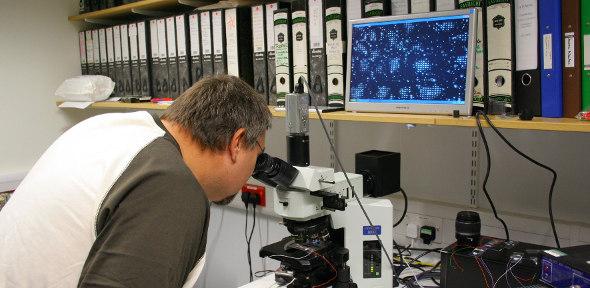 Tim Wilkinson uses an Olympus BR11 microscope to display the switching of a lenslet array in his laboratory.