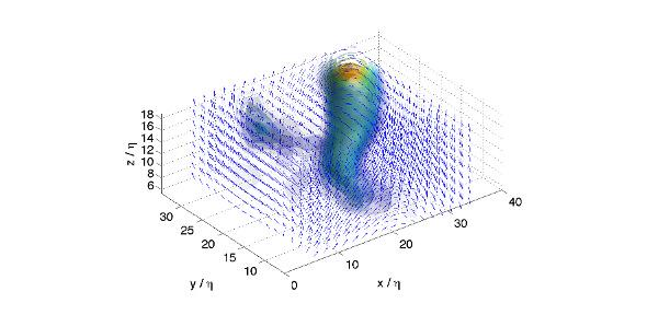 Worm-like structures in turbulence