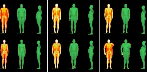 DXA scan of body showing fat (red) muscle (yellow) and bone (white) and 3D avatars used as training data