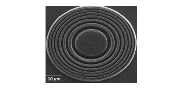 Carbon nanotube Fresnel lens