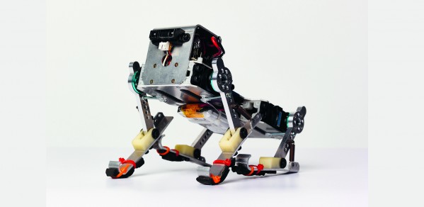 'Puppy' is a running robot dog developed by Dr Fumiya Iida's team