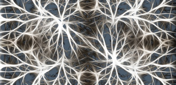 Neurons