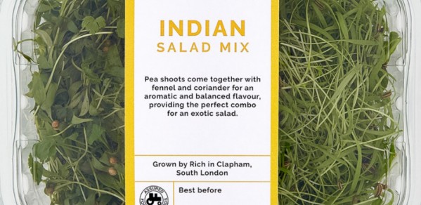 Micro greens and salad leaves