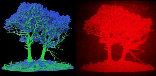 Image based on LiDAR data (left), converted to a hologram (right).