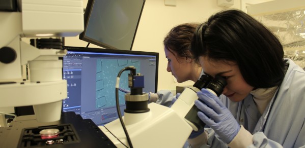 Research students Ye Liu and Lizzie Gill in Dr Huang's group can be seen imaging living human cells in a thumb-sized microfluidic chip under a light microscope.