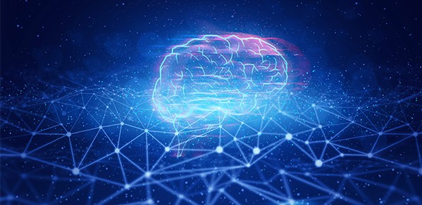 Computer-generated image of human brain