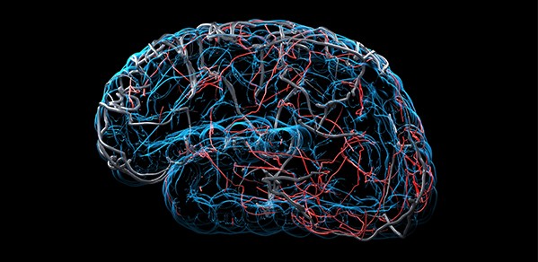 Close-up X-ray brain concept on a black background (3D render)