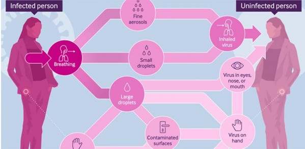 COVID-19 risk calculator