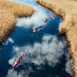 Group of people in kayaks among reeds on the autumn river. 