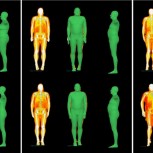 DXA scan of body showing fat (red) muscle (yellow) and bone (white) and 3D avatars used as training data