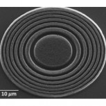 Carbon nanotube Fresnel lens