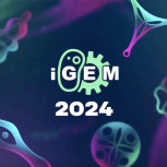 iGEM 2024
