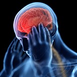 An illustration of a human with transparent skin holding their hands to their head as if experiencing pain. The brain is highlig