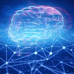 Computer-generated image of human brain