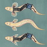 Illustration of palaeo-robots