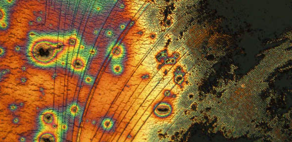 Under the Microscope: Stretchable electronics | Department of Engineering