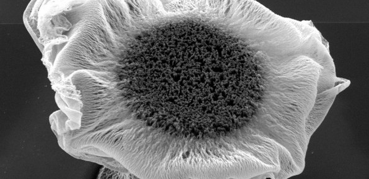 Small but mighty: the manufacturing challenges of nanotechnology ...