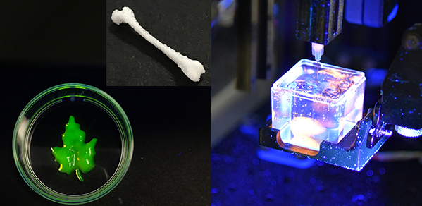 Introducing ‘Printer.HM’ – the future of 3D printing for soft materials ...