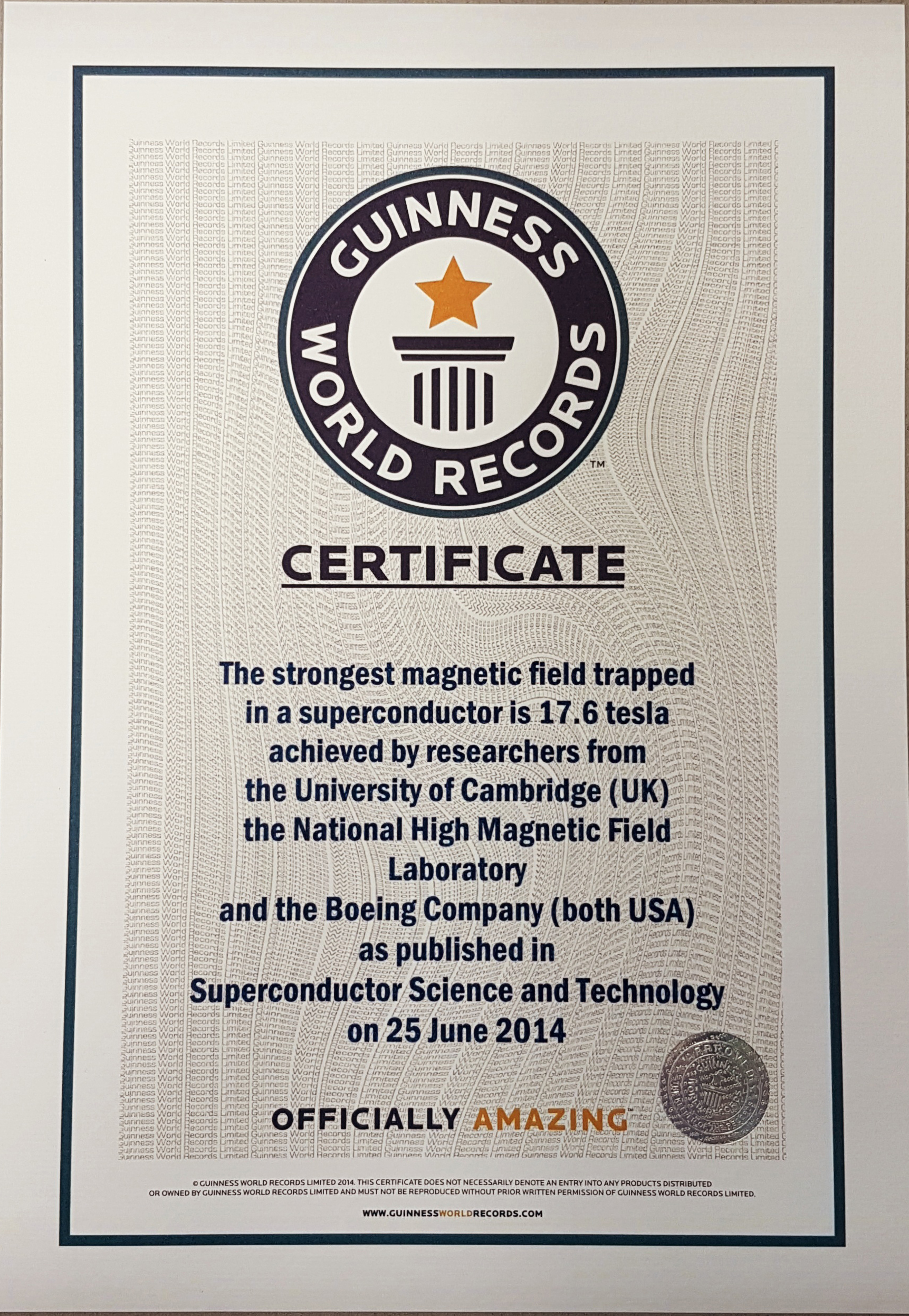 Guinness World Records Certificate