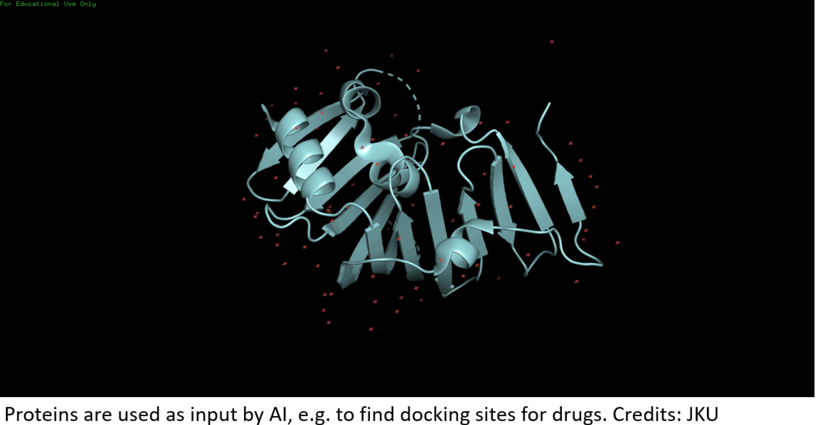 Proteins are used as input by AI e.g to find docking sites for drugs