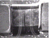 A crack propagating through engineered cartilage during fracture toughness testing