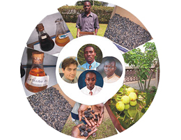 Jatropha diesel formulation Collage courtesy Peter Larbi